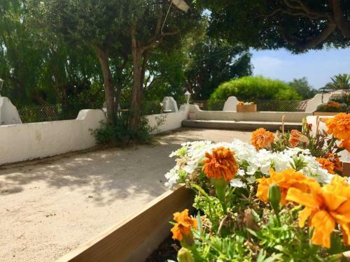 Hotel H�tel Beau Site