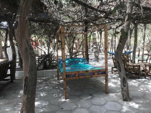 Hotel Jungle Beach Resort