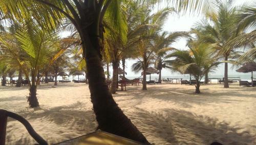 Hotel Jungle Beach Resort