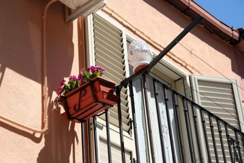 Bed & Breakfast La Pigna Bianca Room&breakfast