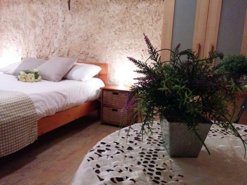 Bed & Breakfast Lemazkeret