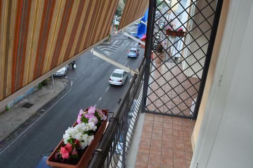 Hostal Campi Flegrei House