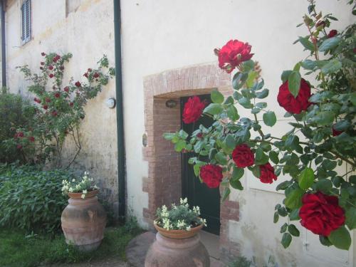 Apartamento La Locaia