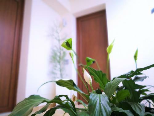 Hotel Perla Gaia