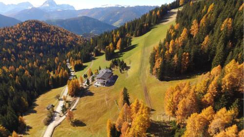 Alpine Hotel Gran Foda'