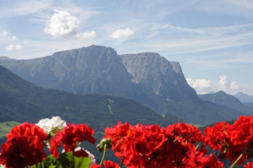 Apartamento Gspoi-hof
