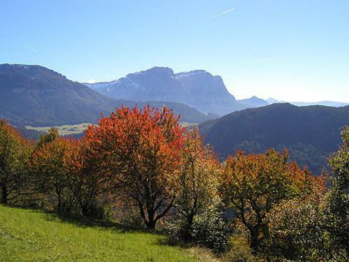 Apartamento Gspoi-hof