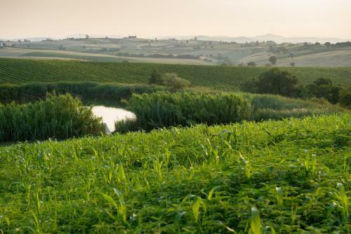 Agroturismo Fattoria Di Vaira