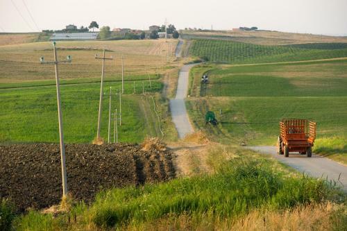 Agroturismo Fattoria Di Vaira