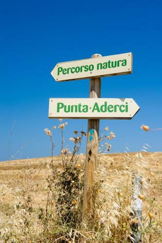 Agroturismo Fattoria Di Vaira