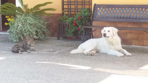 Agroturismo Casa Luce