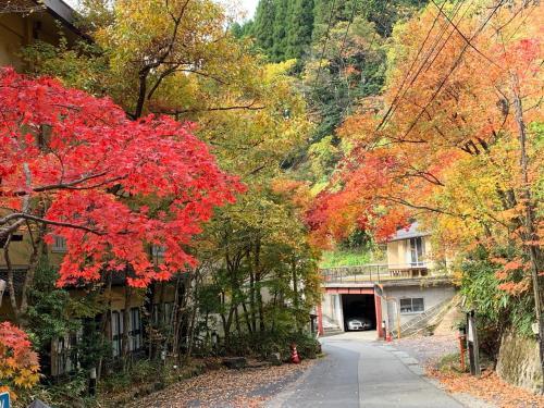 Kinosato Yamanoyu