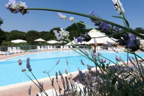 Hotel Il Borgo Centro Vacanze