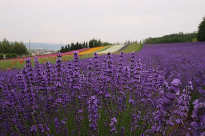 Furano Shiyuirin