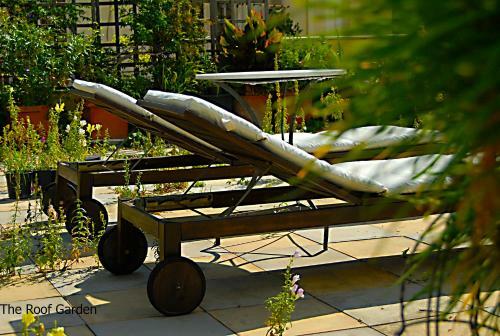Apartment With Roof Garden