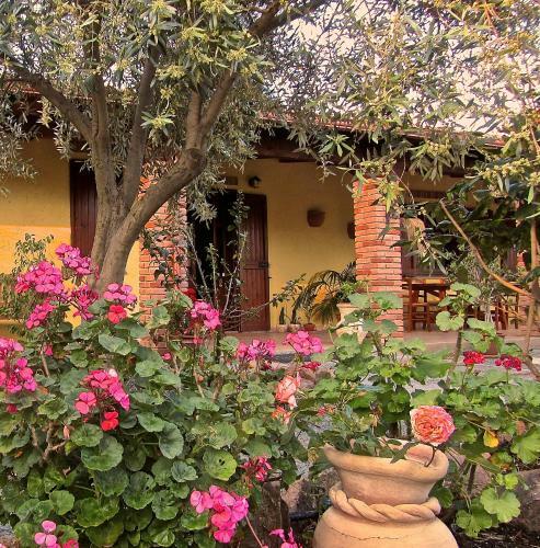 Agroturismo Agriturismo Sa Tiria