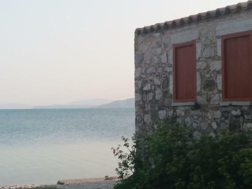 Ailanto