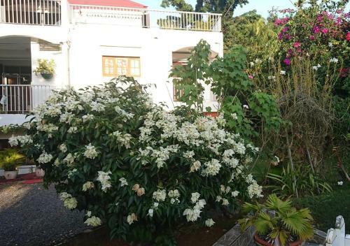 R�sidence Bougainvillee