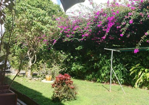 R�sidence Bougainvillee