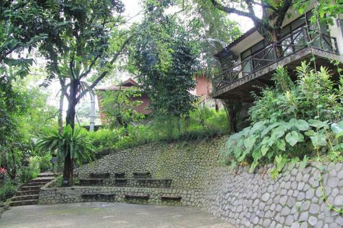 Hotel Cico Resort