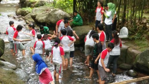 Hotel Cico Resort