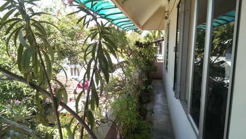 Crystalica Home Stay