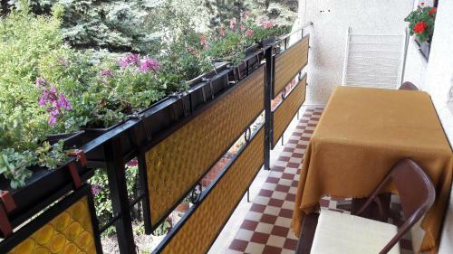 Apartamento Z�nka-balaton