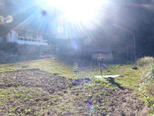 Dhanaulti Camp Homes And Retreat