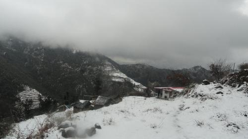Dhanaulti Camp Homes And Retreat