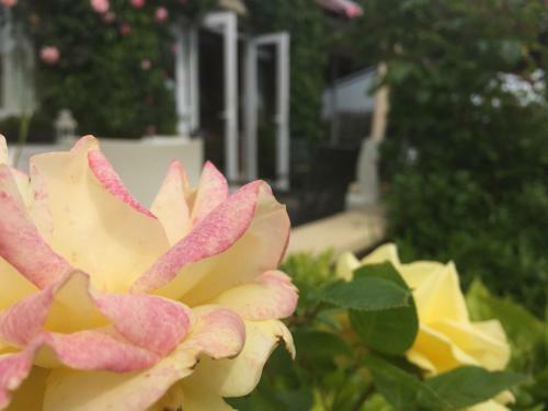 Hotel St Kyrans Country House & Restaurant