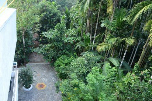 Agroturismo Cordel Farms Mangalore
