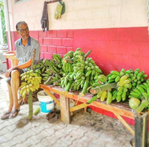 Agroturismo Cordel Farms Mangalore