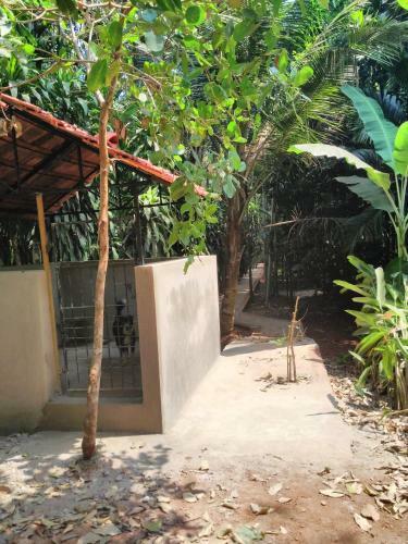 Agroturismo Cordel Farms Mangalore