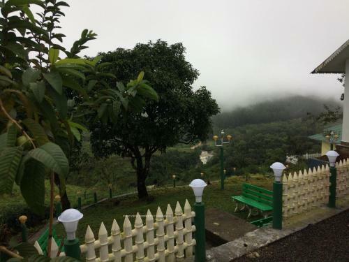 Pine View Homestay