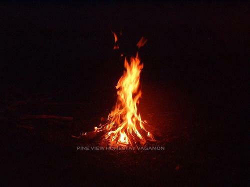 Pine View Homestay