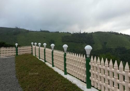 Pine View Homestay