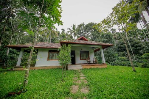 Hotel Bamboo Creek Resort