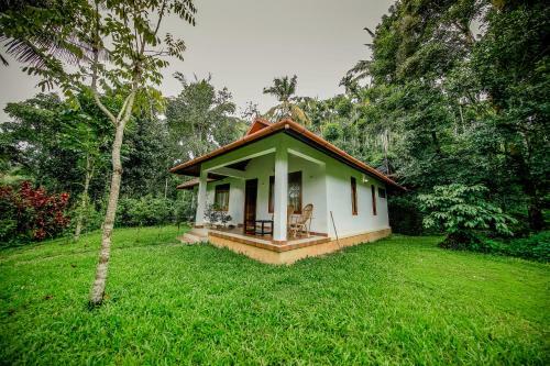 Hotel Bamboo Creek Resort