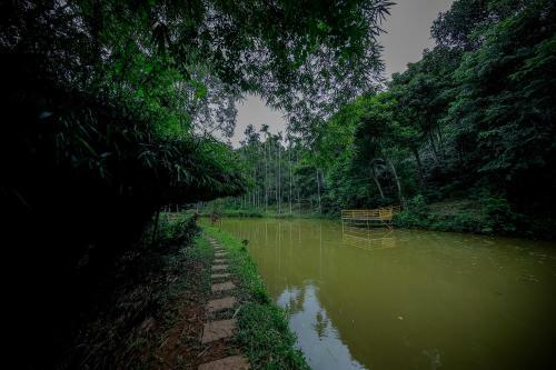 Hotel Bamboo Creek Resort