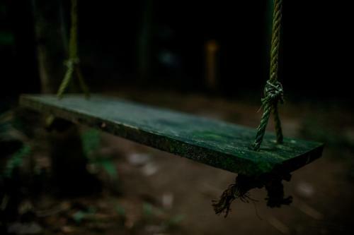 Hotel Bamboo Creek Resort