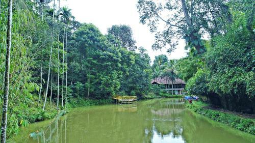 Hotel Bamboo Creek Resort