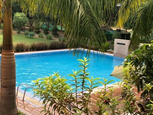 Hotel Clarissa Resort