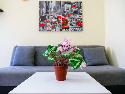Apartamento Inntlv