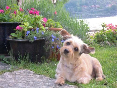 Bed & Breakfast Costa Paradiso