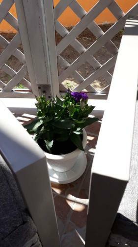 Casa Regina Margherita