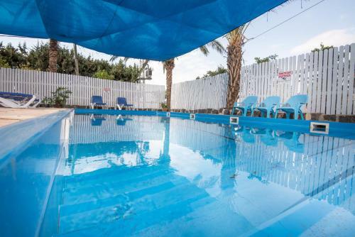 Lodge Pine Tree Cabin