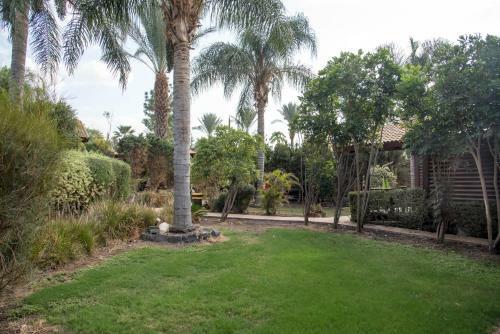 Lodge Pine Tree Cabin