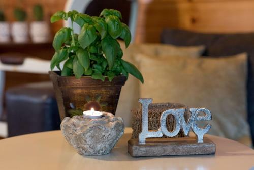 Lodge Pine Tree Cabin