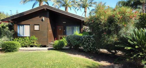 Lodge Pine Tree Cabin