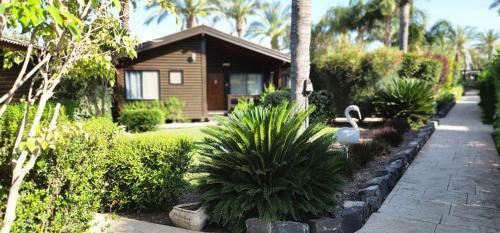 Lodge Pine Tree Cabin